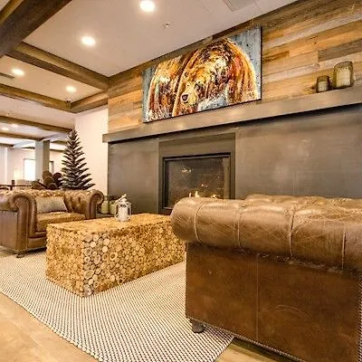 Canalta Lodge Banff Hotel